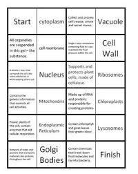 Organelle Domino Puzzle Plant And Animal Cells Plant And Animal Cells Animal Cell Teaching Biology