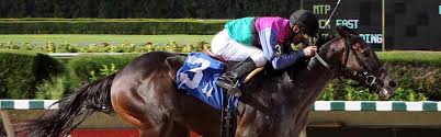 In addition to free win selections offered to nearly every track running in the. Santa Anita Park 2020 2021 Winter Spring Meet At Otb Off Track Betting