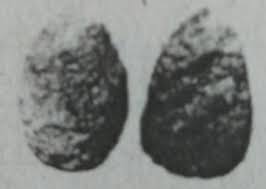 Contoh Soal Pg Dan Jawaban Sejarah Kelas X Semester 2 Part 3 Kumpulan Soal Materi Sekolah