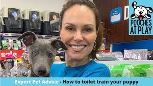 Lara Shannon's Instagram, Twitter & Facebook