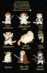 May the 4th be wit u my friend. Derlaine Waffles The Cat Facebook Tumblr My Favorite Is Jabba The Catt Catmemes Fette Katzen Lustig Katzen Funny Shit