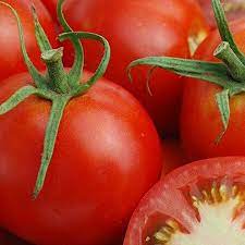 ~~heirloom variety~~ ***tomato*** (annual veg)glacier variety (solanam lycopersicon) 8+ seeds/pack high producer & very early (only 55 days to maturity) very uniform harvests of. Glacier Tomato Seeds Urban Farmer