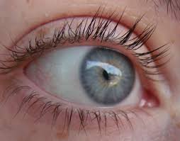 Gray eyes are a common eye color in some parts of the world, but they are not a trope. Grey Blue Eye With Yellow Ring Central Heterochromia Wolf With Blue Eyes Grey Blue Eyes Gray Eyes