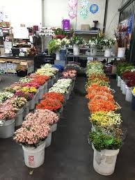 Maybe you would like to learn more about one of these? Serguei Flower Wholesale Home Facebook