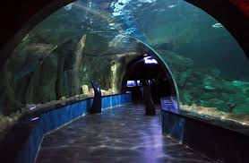 Pamukkale Denizli Airport Transfer Pamukkale Airport Taxi Pamukkale Denizli Airpor Transfer Pamukkale Denizli Airport Shuttle Pamukkale Denizli Airpor Transfer