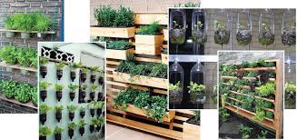 We did not find results for: How To Grow An Urban Vegetable Garden The Vurger Co