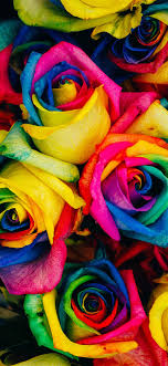 صور بحر وشواطئ 2022 hd اجمل خلفيات للبحر خلابة تداعب بنسماته العليلة أفئدة محبيه الذين تتباين أهدافهم وتتنوع ما بين إستخدامها خلفيات بحر فوتوشوب تدعم بإطلالتها الساحرة فحوى ما سيكتب عليها من عبارات وخواطر جميلة منها ما. ÙˆØ±ÙˆØ¯ Ø£Ù„ÙˆØ§Ù† Ø§Ù„Ø·ÙŠÙ Ø§Ù„Ù…ØªÙ†ÙˆØ¹Ø© Ùˆ Ø§Ù„Ø²Ø§Ù‡ÙŠØ© Ø®Ù„ÙÙŠØ§Øª