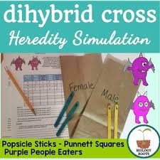 Our behavior in giving an answer to problems affects our daily performance plus the field of work. Dihybrid Crosses Worksheets Teaching Resources Tpt
