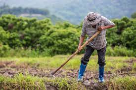 Desde hace años consiguiendo los mejores precios de los mejores productos para el agricultor. Indicacao Pede Criacao De Programa Para Beneficiar Agricultores Assembleia Legislativa De Sergipe