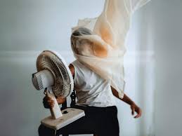 We did not find results for: Solar Fans That Are Ideal For Various Purposes And Reduce Electricity Consumption Most Searched Products Times Of India