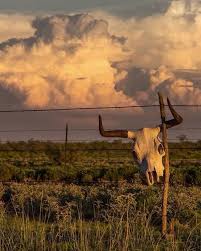 Texas Trips Addicts On Instagram The Llano Estacado Once Upon A Time It Was Home To Traversing Herds Of Buffalo As They Llano Estacado Great Plains Llano