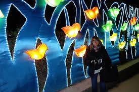 Premier « festival des lumières » : Especes En Voie D Illumination Au Jardin Des Plantes Paris 15 01 2019 Blogdefrancine Overblog Com