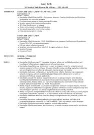 computer assistant resume samples