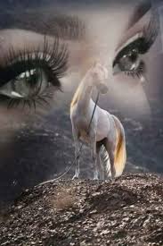 19959451 241488579704129 1988023286692404522 n jpg 480 720 illusion photography illusion art beautiful horses