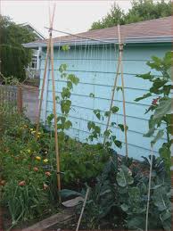 3x3m faltpavillon mit 4 rahmenvarianten von terrasse bis heavy duty. Garten Ideen 28 Luxus Faltpavillon 3x3 Wasserdicht Stabil O38p Check More At Https Jboyprints Com Garten Ideen 28 Luxus Faltpavillon 3x3 Wasserdicht Stabil