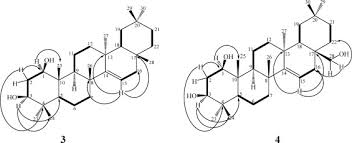 Image result for Manniophyton
