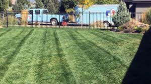 What we do best / services. Weekly Lawn Service