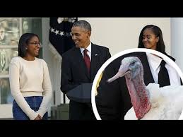 We did not find results for: President Obama Cracks Some Brilliant Dad Jokes During Thanksgiving Turkey Pardon Youtube