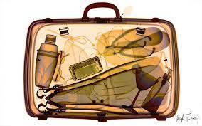 History Travel Arts Science People Places Smithsonian Xray Art Everyday Objects X Ray