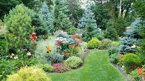 Creating A Colorful Mixed Border Garden Shrubs Landscaping With Evergreens Landscaping Inspiration