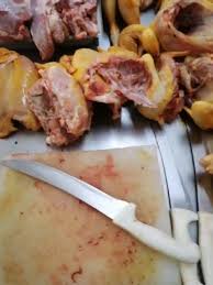 We did not find results for: Super Pollo S Av Roman Pina Chan San Francisco De Campeche 2021
