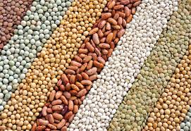 Les Legumes Secs Font Ils Grossir Le Blog Anaca3 Com Legumes Secs Grossir Anaca3