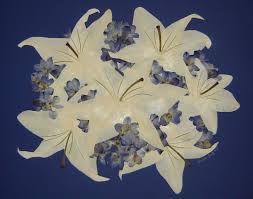 Remember, you don't have to be an artist to make a memory. Custom Made Pressed Flower Art Bridal Bouquet Flowers Only By Pressed Garden Floral Preservation Custommade Com