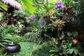 Dennis Hundscheidt S Balinese Garden Brisbane Balinese Garden Tropical Backyard Tropical Landscaping