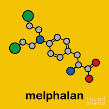 Image result for Melphalan