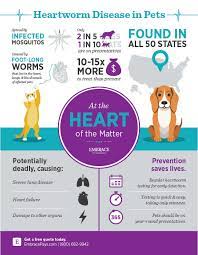 Deciding On The Right Heartworm Prevention For Your Pets