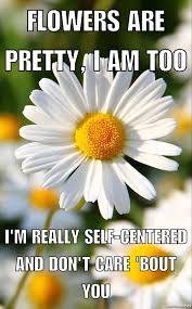 Pin By Meme Lord On Original Meme Lord Memes Flower Photos Amazing Flowers Most Beautiful Flowers
