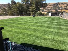 Can i use a lawnmower before leveling the yard? Leveling Sand The Lawn Forum