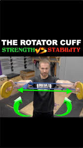 16 3k Likes 272 Comments Squat University Squat University On Instagram The Role Of The Rotator Cuff Muscles Is To P Rotator Cuff Shoulder Joint Squats