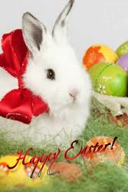 Welcome To My Care2 Happy Easter Gif Easter Pets Easter Wallpaper