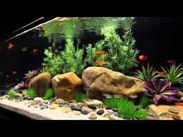Satellite Freshwater Led Aquarium Light Fixture With Wireless Control Youtube