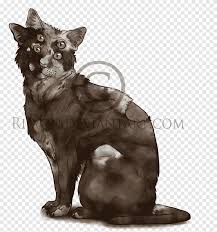 Doodling for a whole doodle game was very exciting for us. Whiskers Cat Kitten Art Drawing Punggung Kucing Binatang Kucing Suka Mamalia Png Pngegg