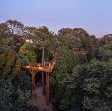 Check out updated best hotels & restaurants near treetop walk. Treetop Walk Carlos Castanheira Archdaily