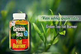 Vien Uống Giảm Can Green Tea Fat Burner Co Tốt Khong Gia Ban Review