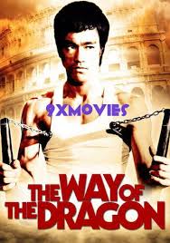 Birth Of The Dragon Full Movie In Hindi 720p Download The Way Of The Dragon 1972 Dual Audio Hindi 720p Bluray 900mb In 2020 Way Of The Dragon Full Movies Download Download Movies