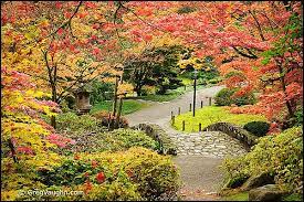 Top 10 Places For Fall Color Photography In Washington Seattle Japanese Garden Japanese Garden Japanese Garden Design