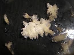 Dimenthyltryptamine (dmt) is a hallucinogenic drug that can distort your view of reality. Dimethyltryptamine Dmt The Drug Classroom