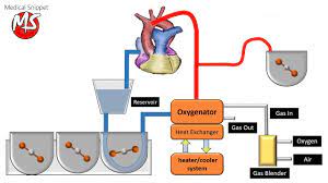 Cpb machine stock photos and images. Cardiopulmonary Bypass Cpb Circuit Youtube