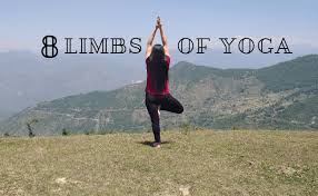 8 Limbs Of Yoga A Detailed Explanation Fitsri