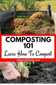 What Is Composting And Why Your Garden Needs Compost How To Make Compost Compost For Beginners Gardening For Beginners