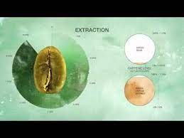 Decaffeination 101 Four Ways To Decaffeinate Coffee In 2021 Organic Coffee Beans Decaffeinated Coffee Decaf Coffee