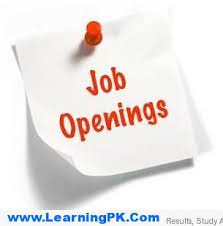 Jobs In Nespak National Engineering Services Job Opening Driver Job Job Opportunities