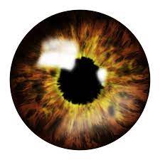 Eyes Png Image Photoshop Manipulation Photoshop Tutorial Manipulation Light Background Images
