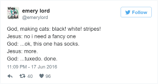 50 Hilarious Explanations How God Created Animals Bored Panda