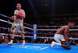 Britain's anthony joshua celebrates after beating andy ruiz jr. Anthony Joshua Vs Andy Ruiz Jr Round By Round Report As Brit Suffers Shock Defeat Mirror Online