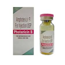 Is a freeze dried preparation of amphotericin b for intravenous injection. Amphotericin B Injection Fungizone Latest Price Manufacturers Suppliers